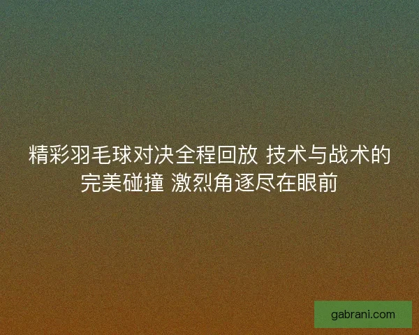 精彩羽毛球对决全程回放 技术与战术的完美碰撞 激烈角逐尽在眼前
